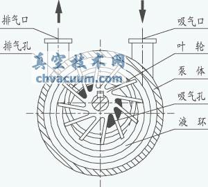 水環(huán)真空泵的工作原理