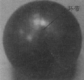 DN50空心閥球高效精密研磨技術(shù)