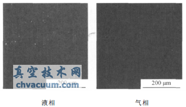 316L腐蝕試樣表面SEM