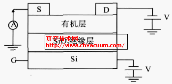 ЙC(j)(chng)Ч(yng)wܵ픽|ʽY(ji)(gu)